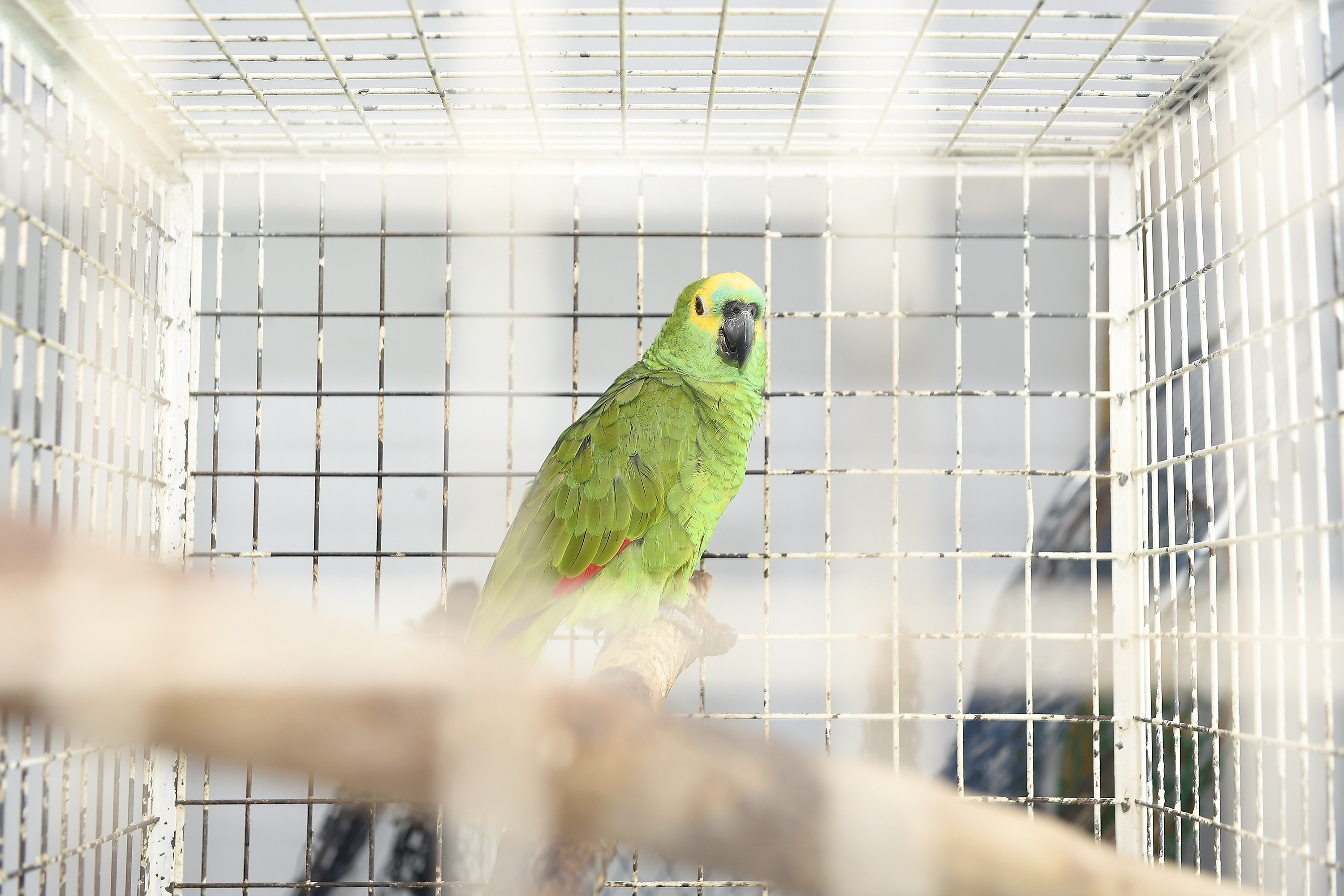 Foto de tratamento no CETRAS Unicentro