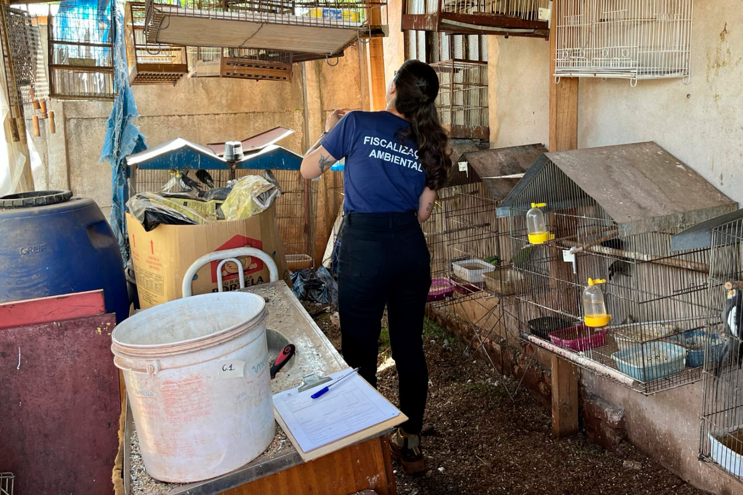 Foto de aves apreendidas durante operação