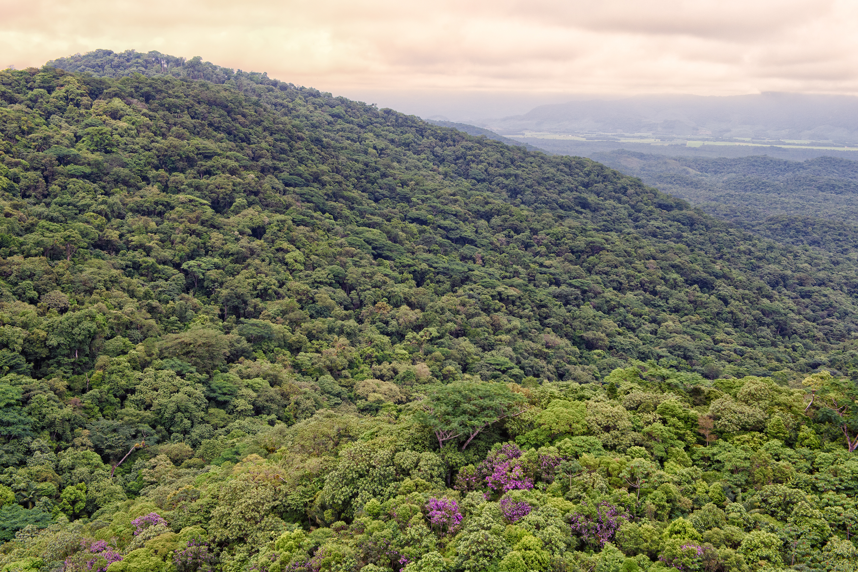 Foto aérea de paisagem natural