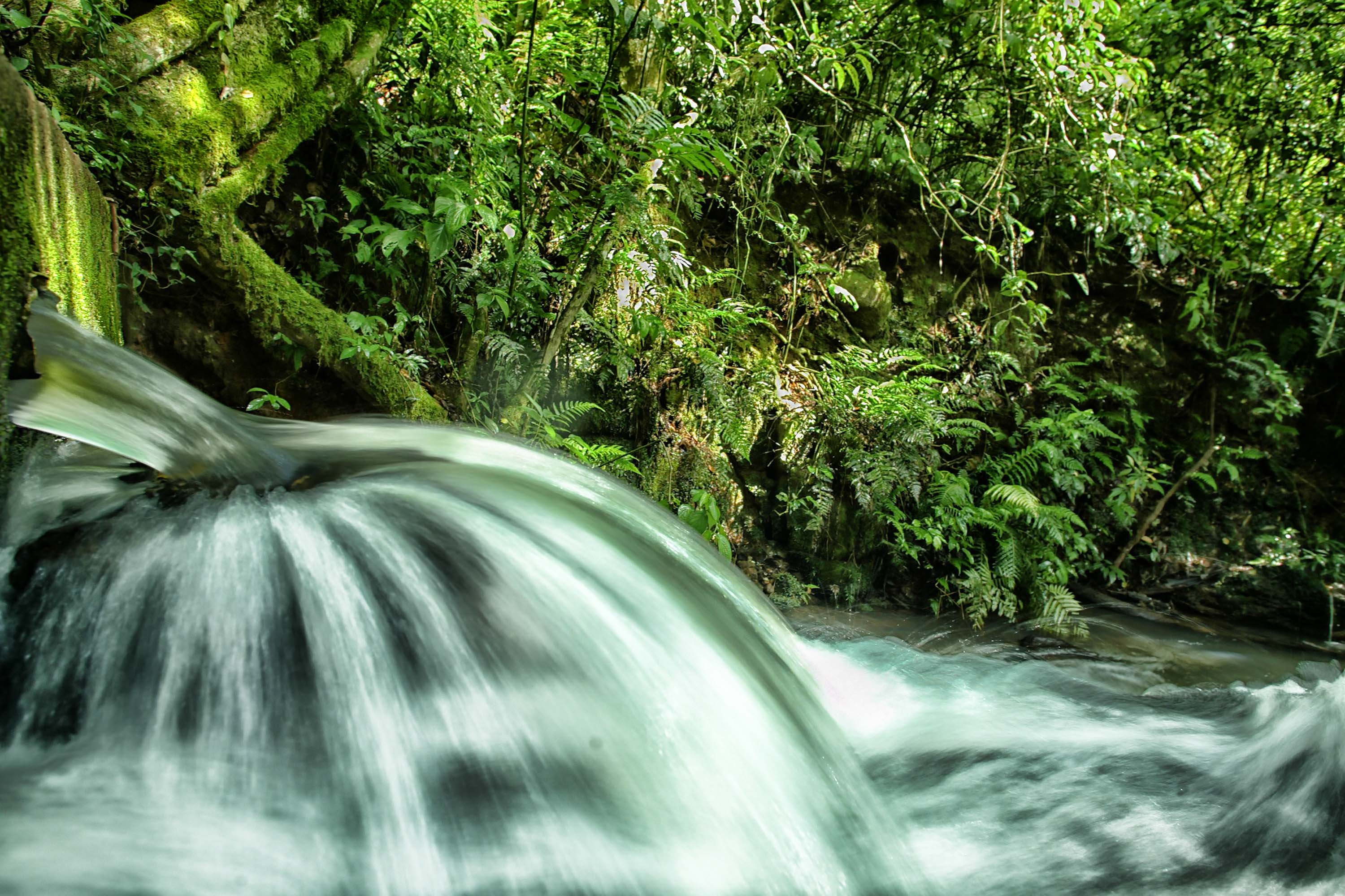 Foto de paisagem natural do Paraná