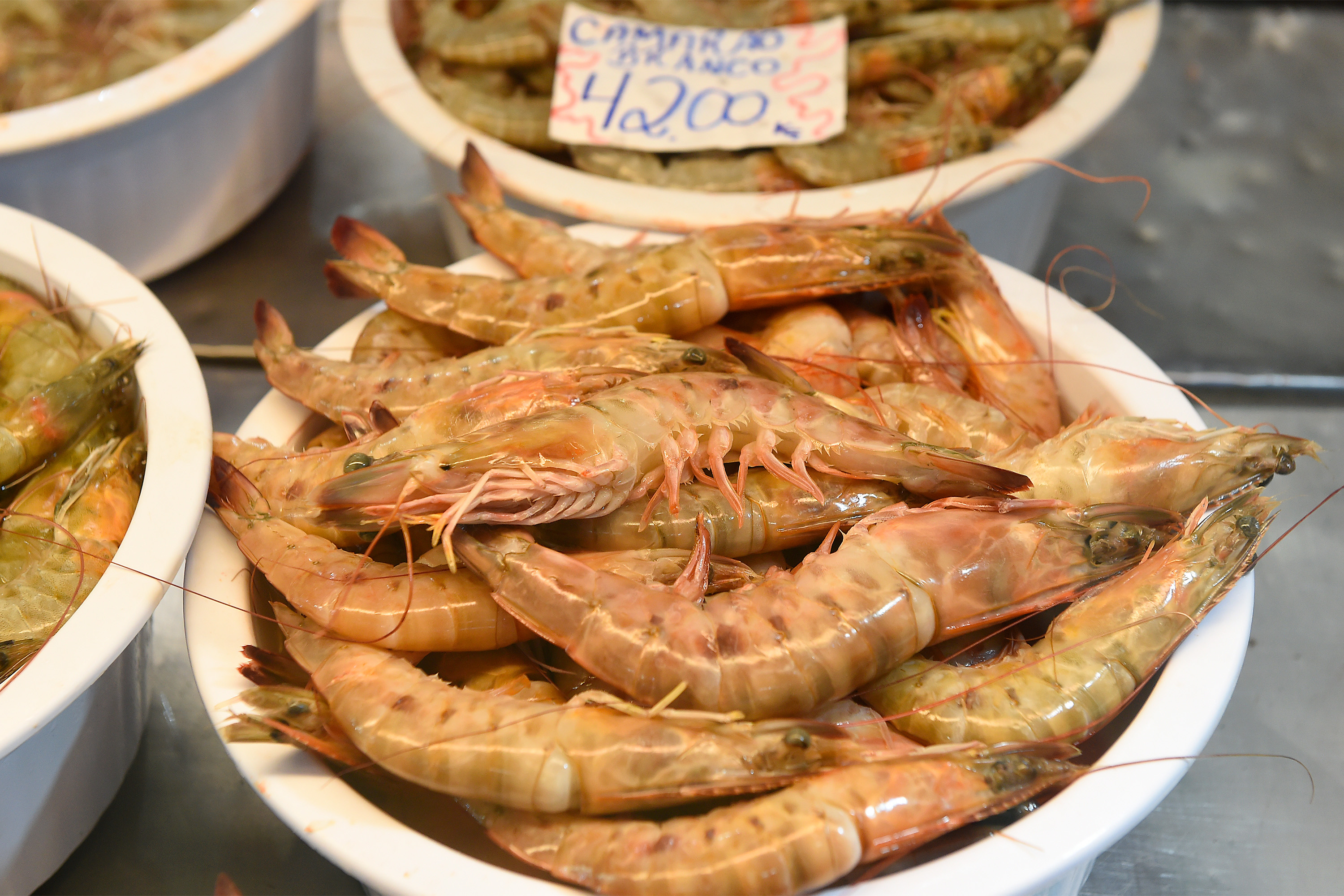 Foto de camarões pescados