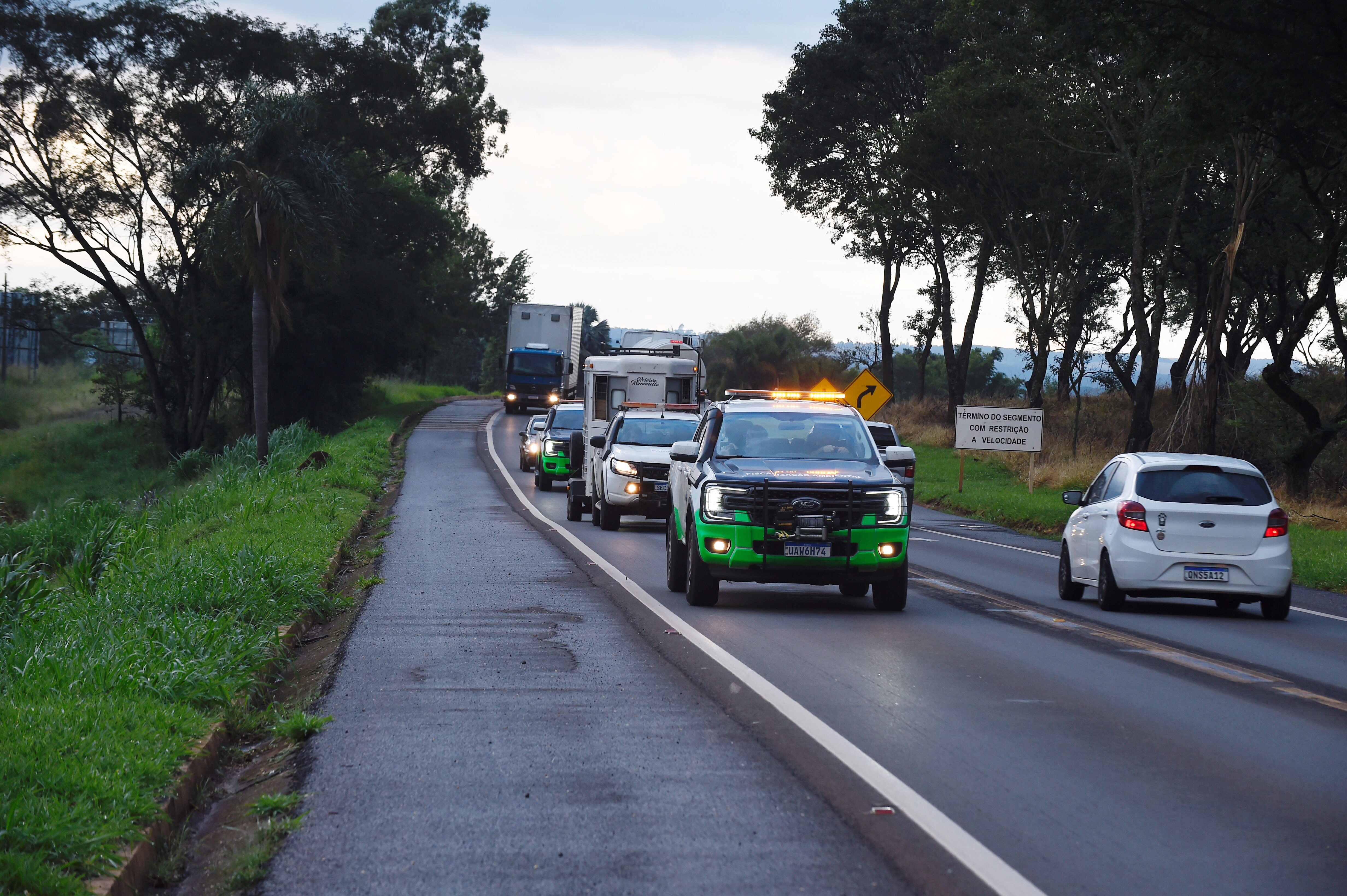 Foto de soltura de pacas e cotias