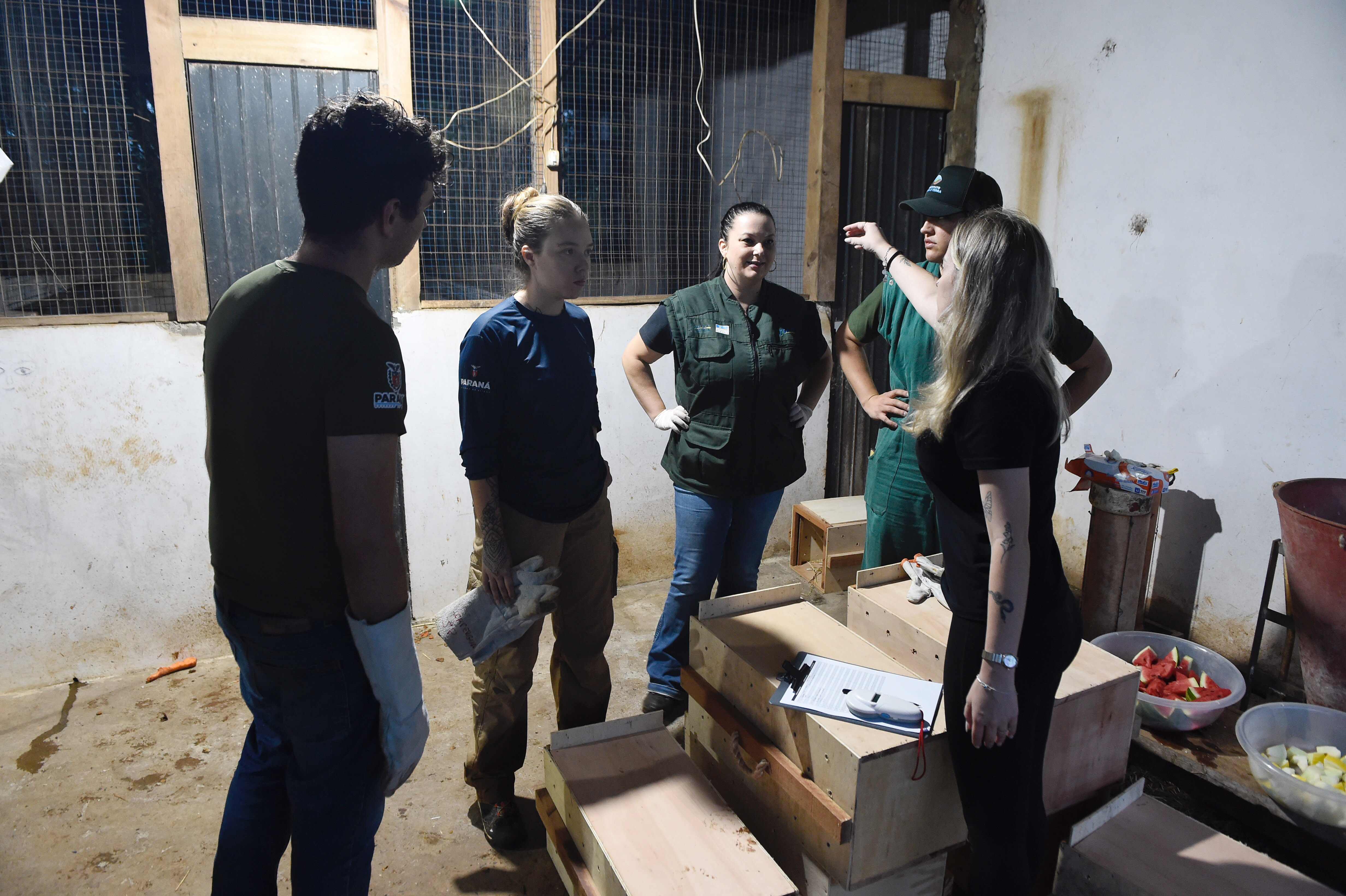 Foto de soltura de pacas e cotias