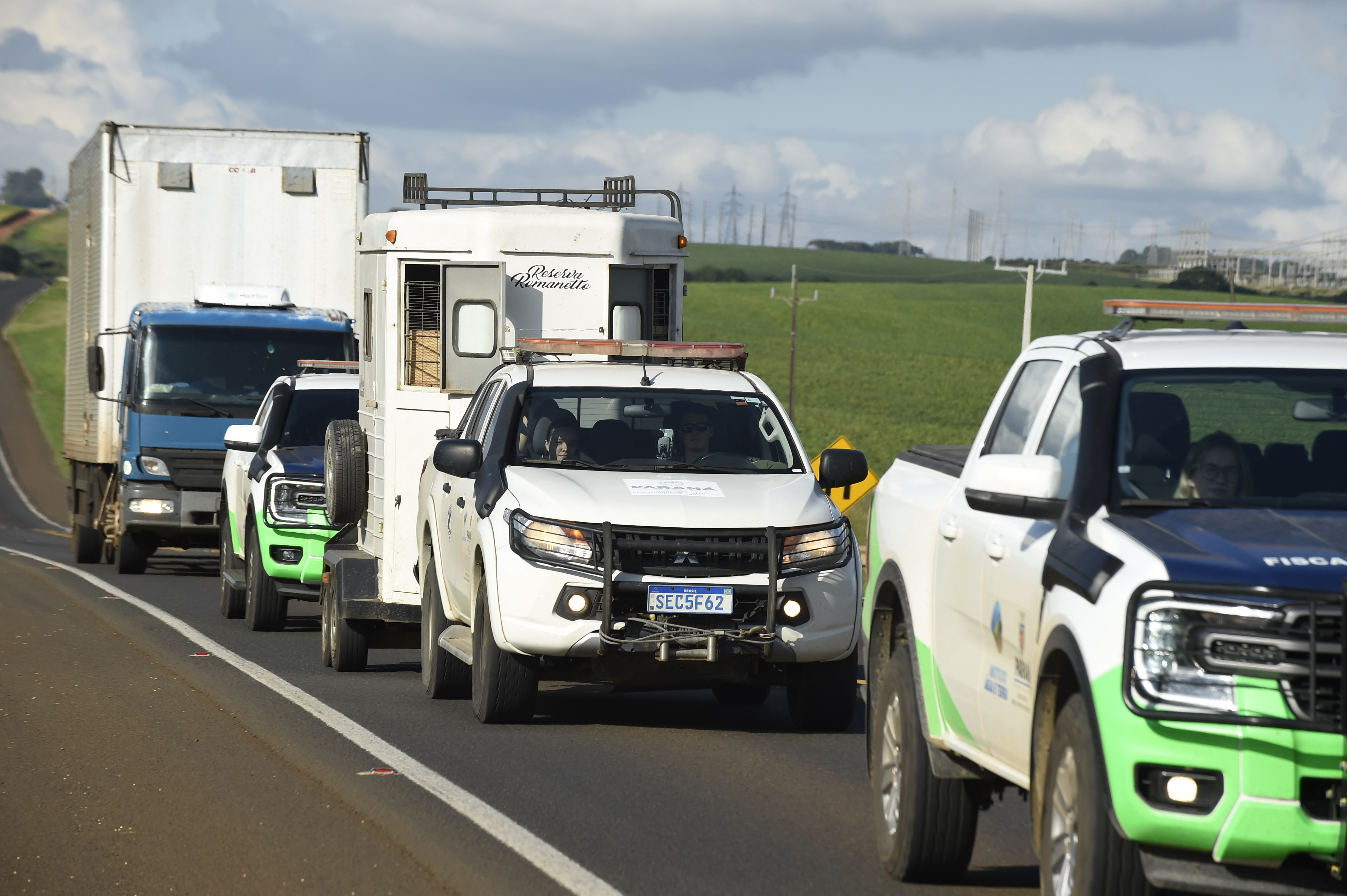 Foto de soltura de pacas e cotias