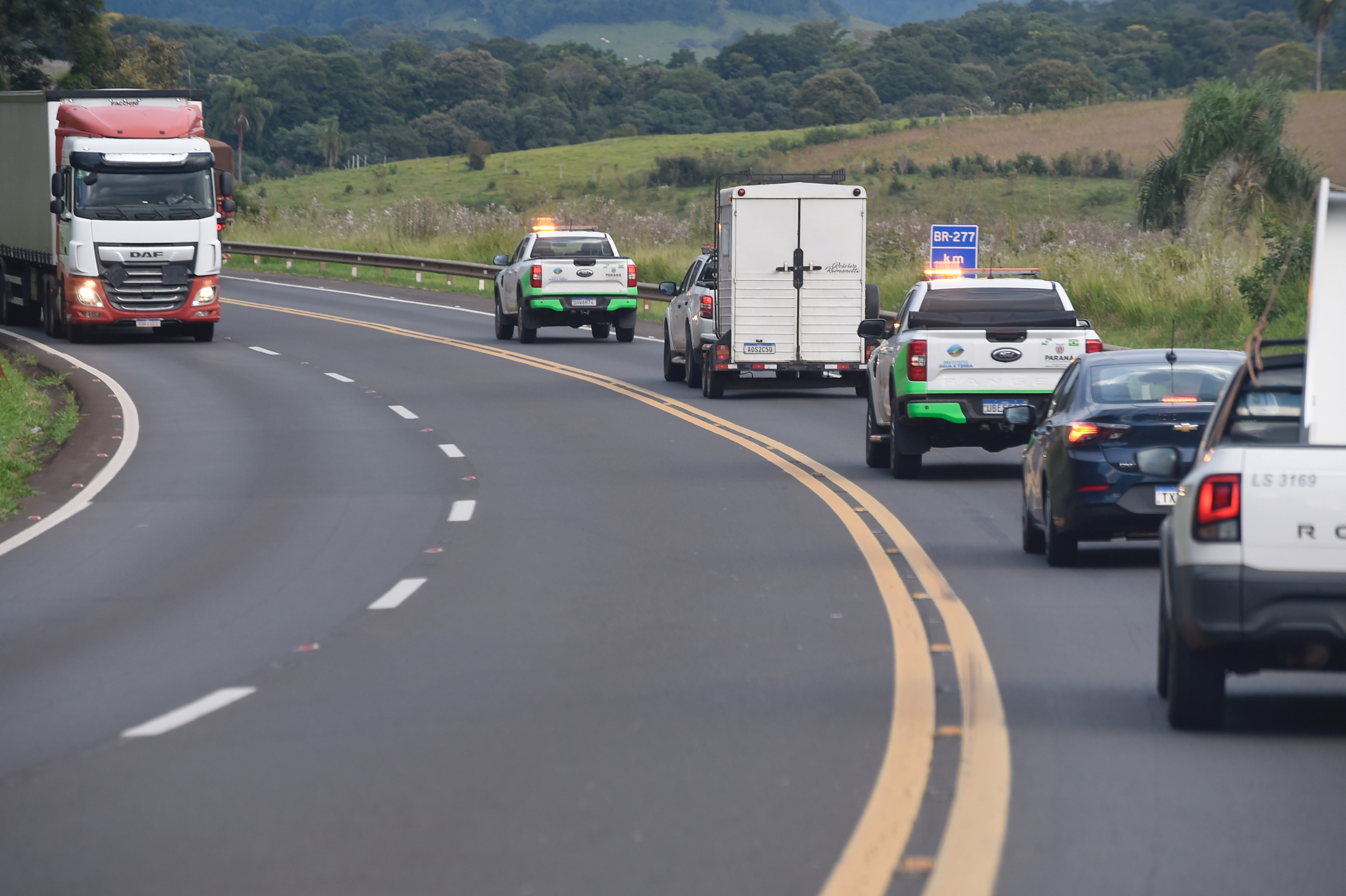 Foto de soltura de pacas e cotias