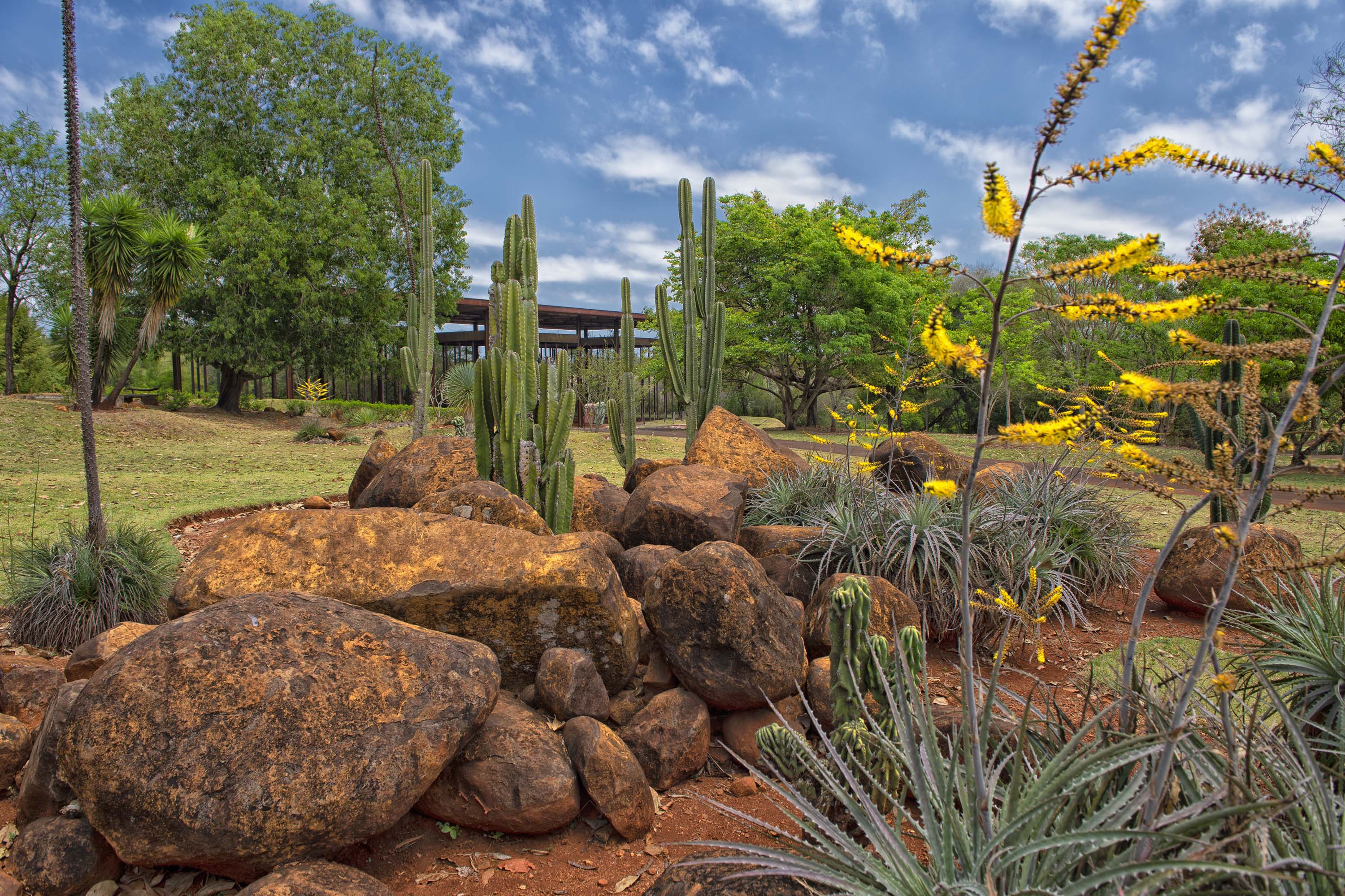 Foto de parque estadual do Paraná