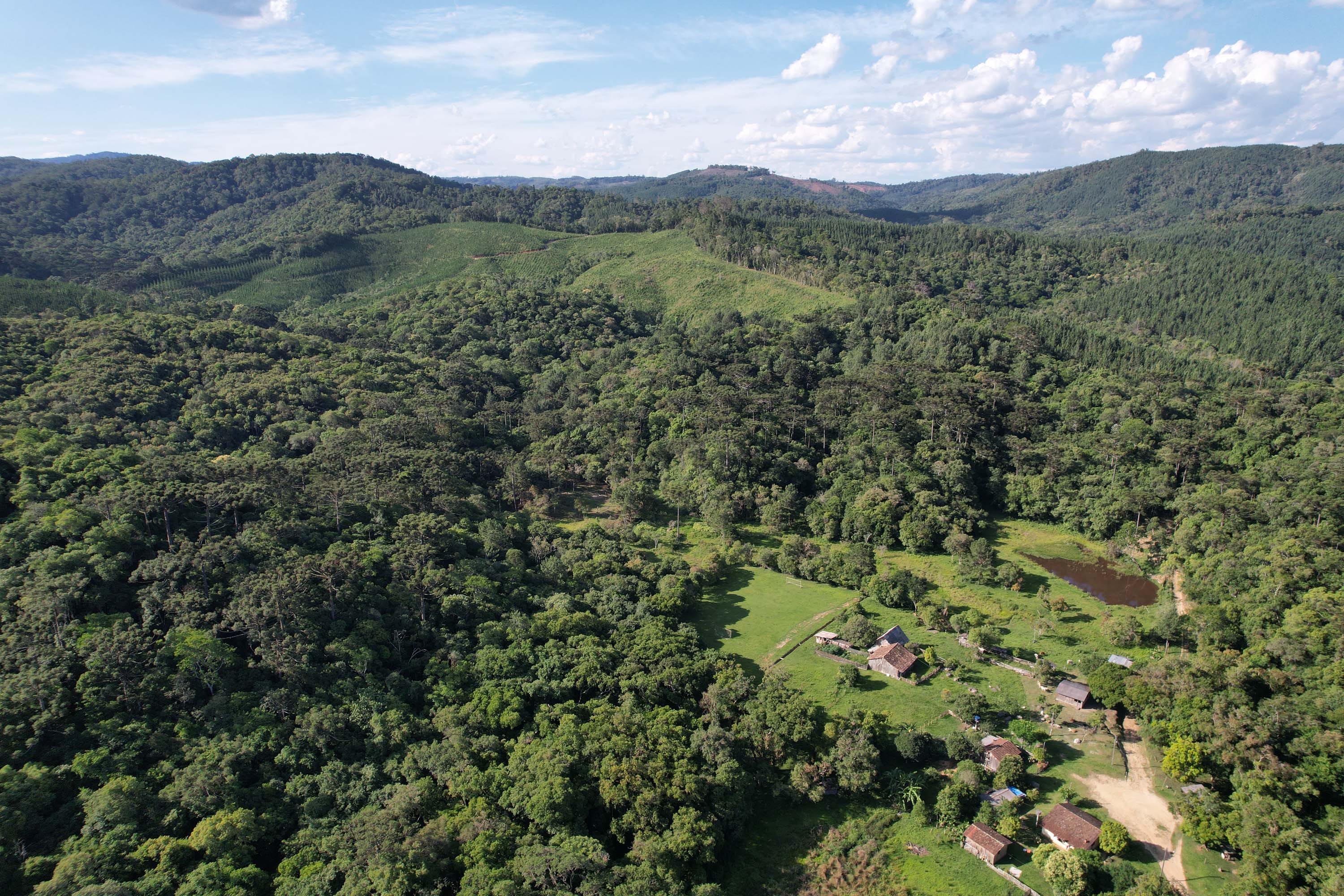 Foto de área de nova UC do Paraná