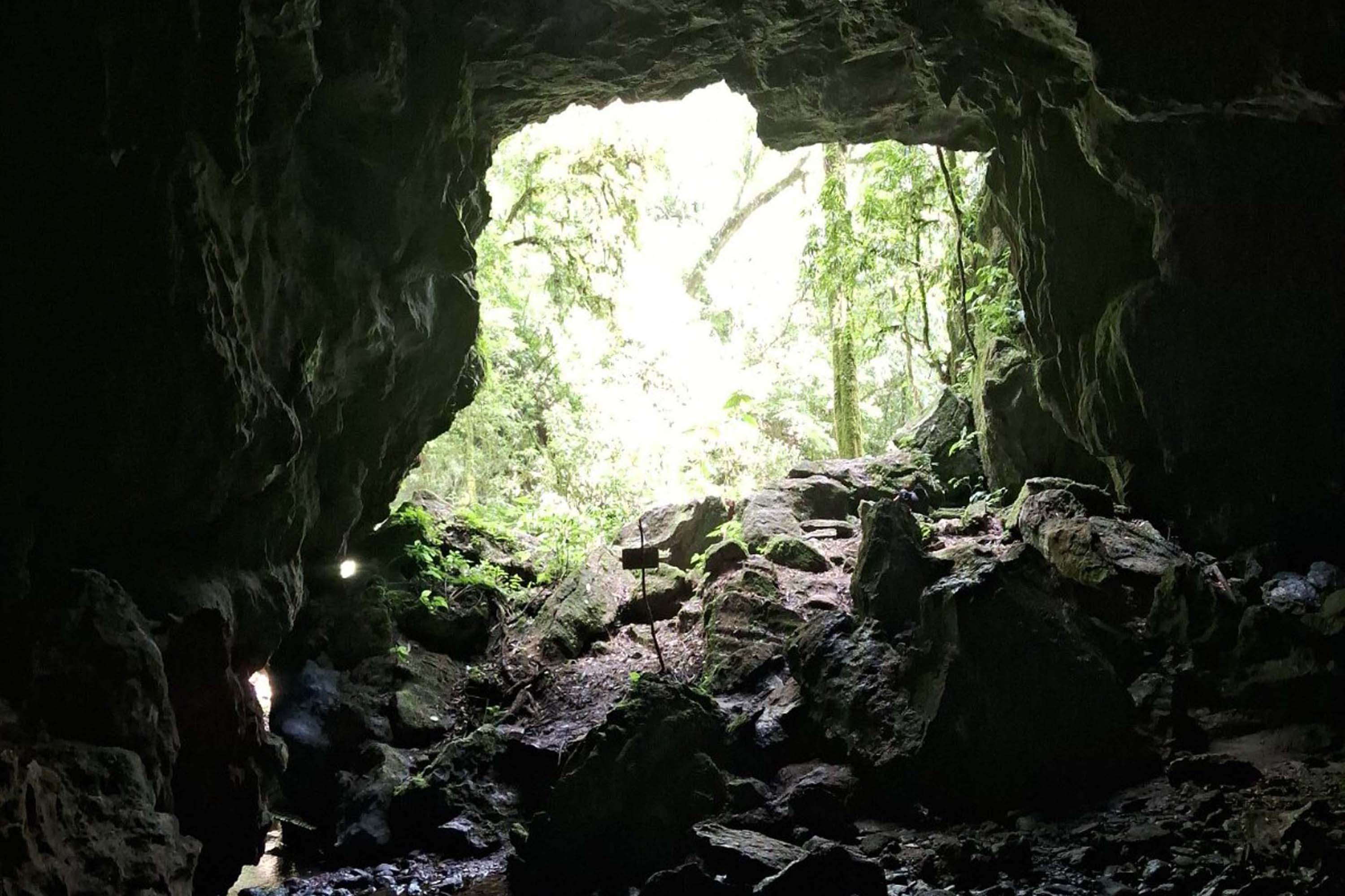Foto de área de nova UC do Paraná