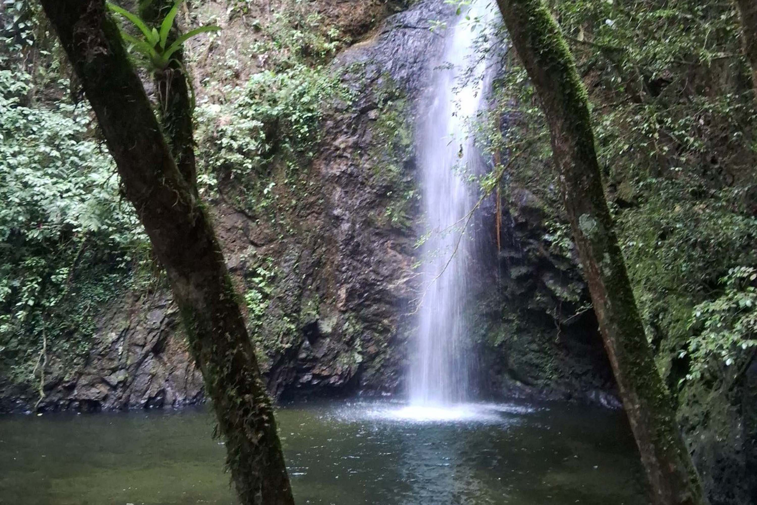 Foto de área de nova UC do Paraná