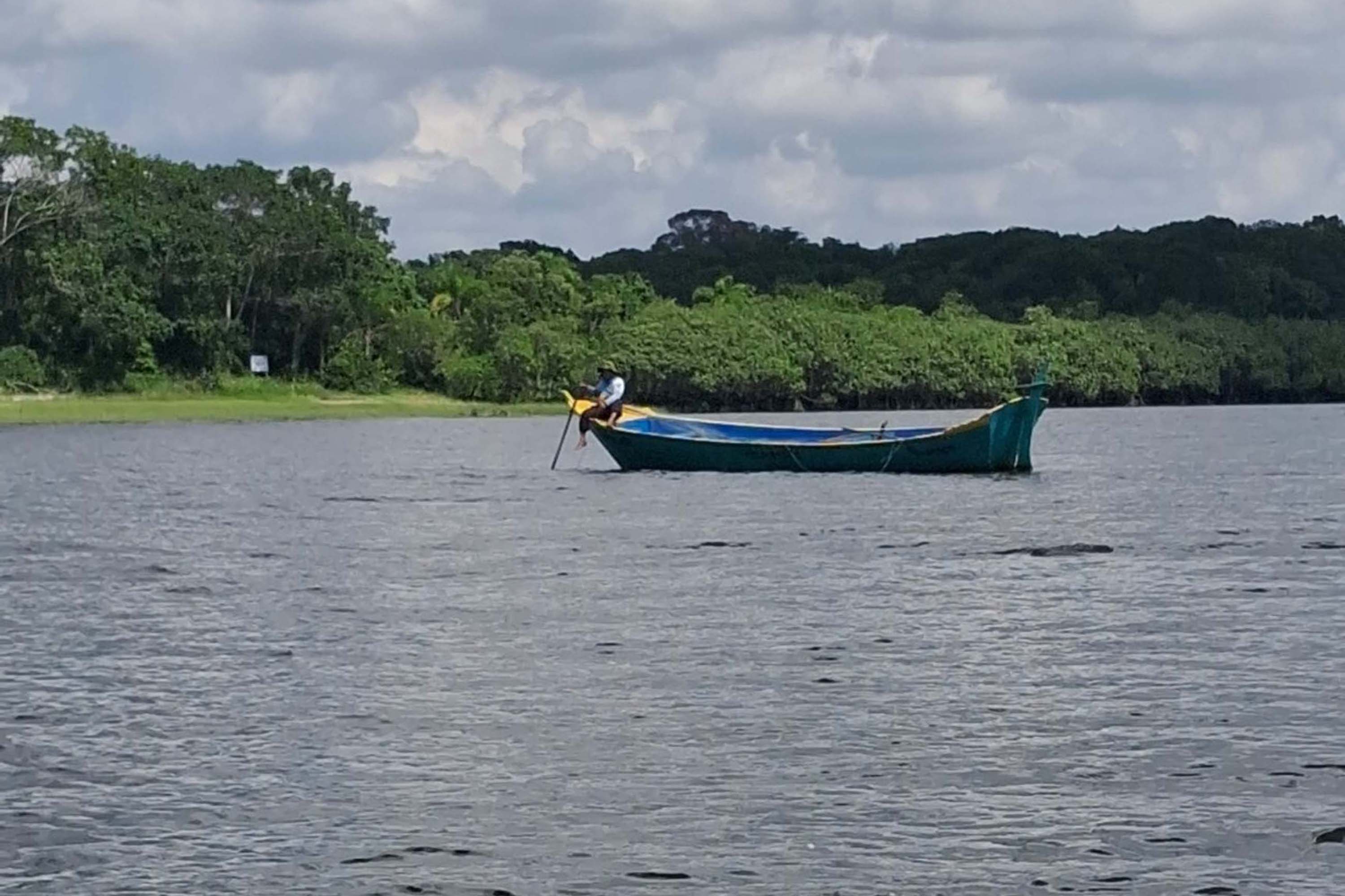 Foto de área de nova UC do Paraná