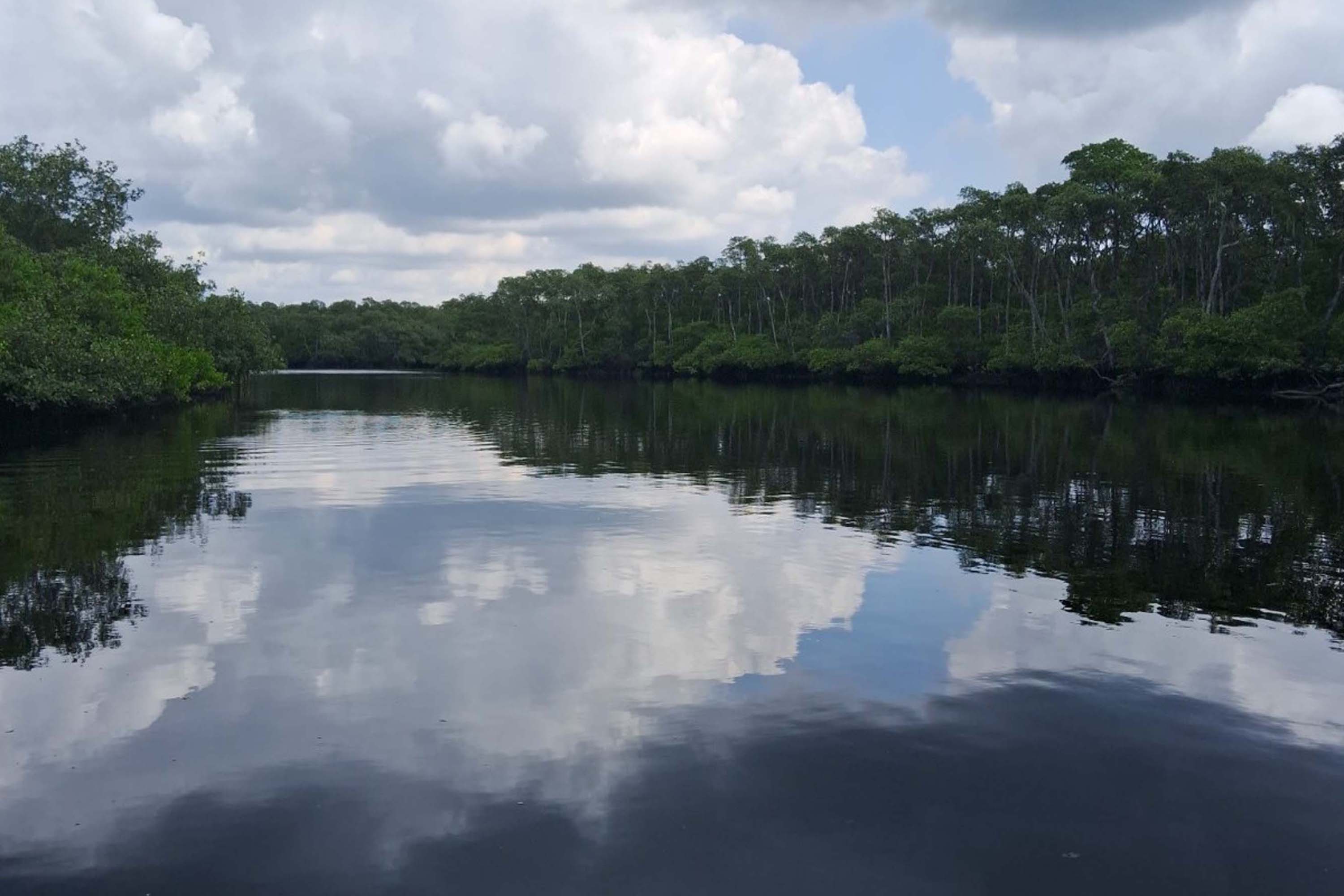 Foto de área de nova UC do Paraná