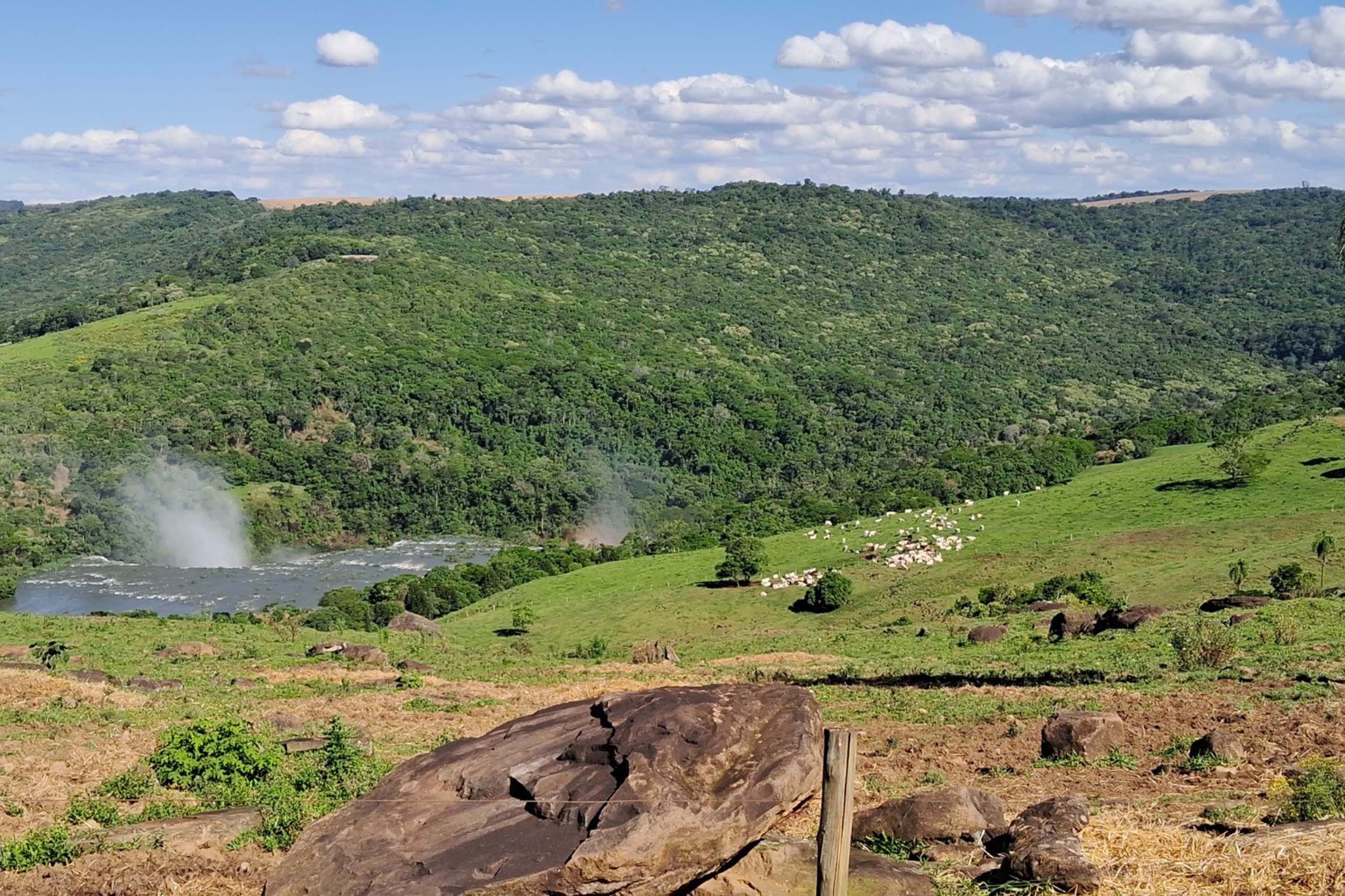Foto de área de nova UC do Paraná