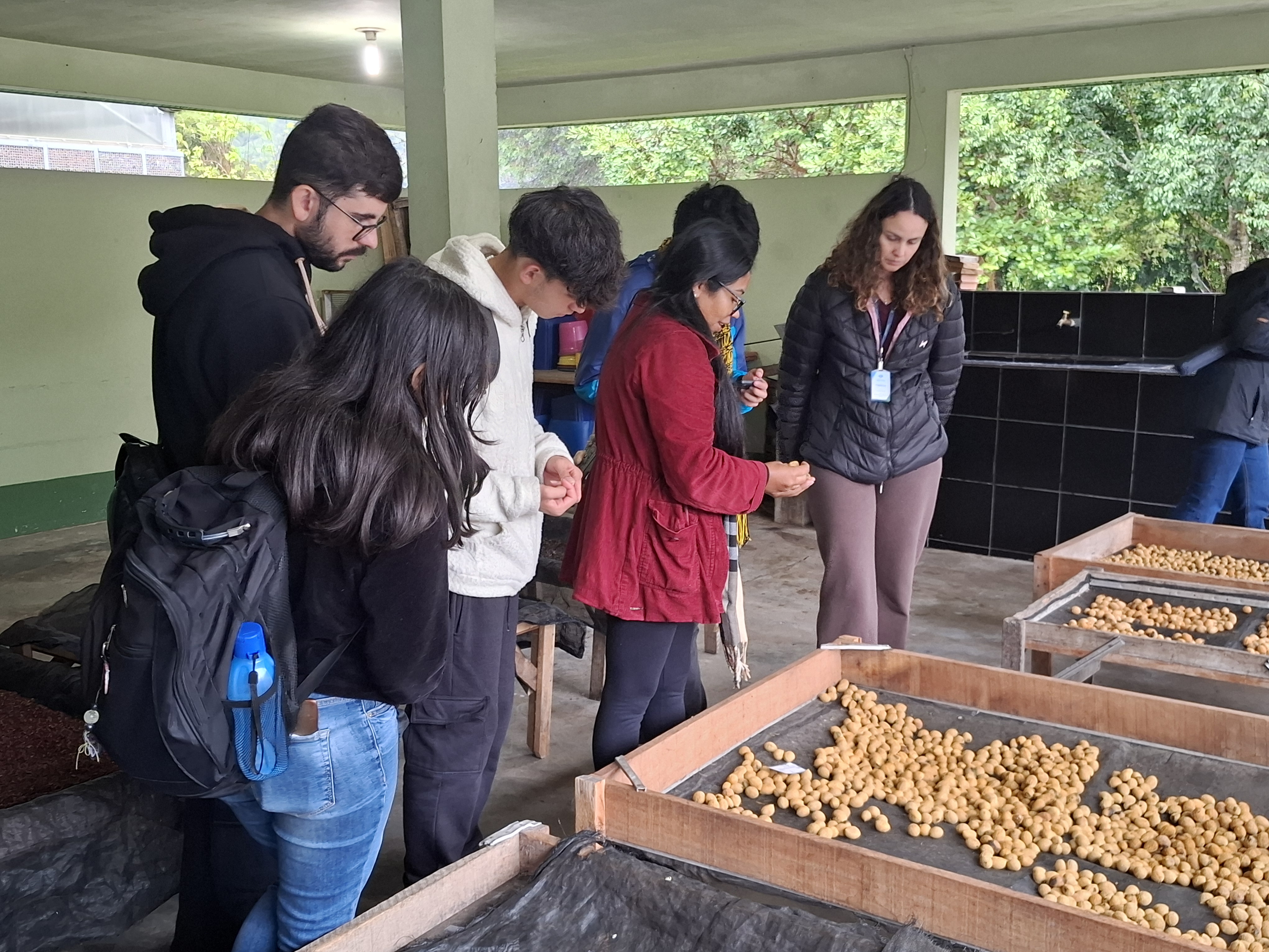 Foto de estudantes conhecendo viveiro do IAT