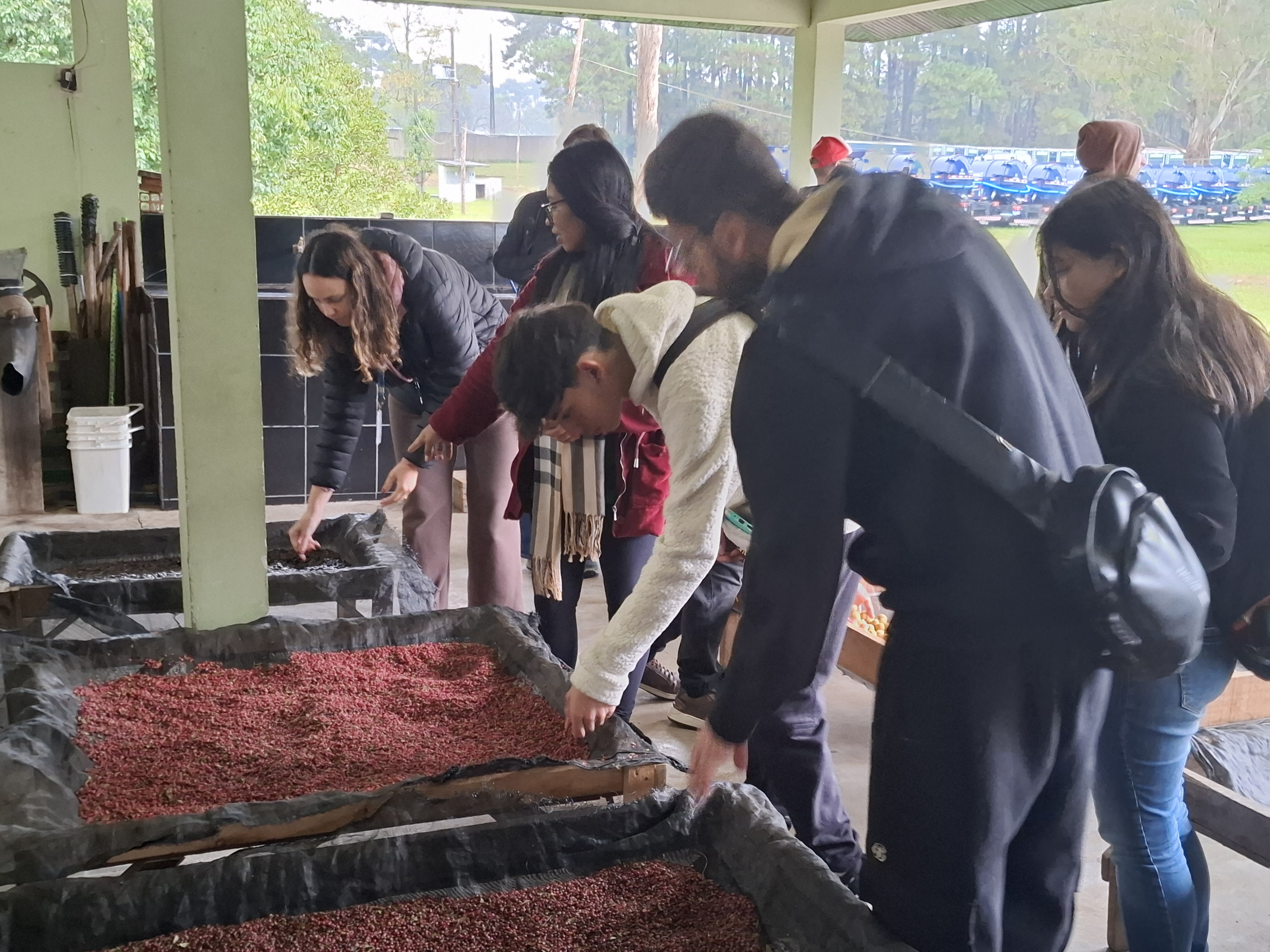 Foto de estudantes conhecendo viveiro do IAT
