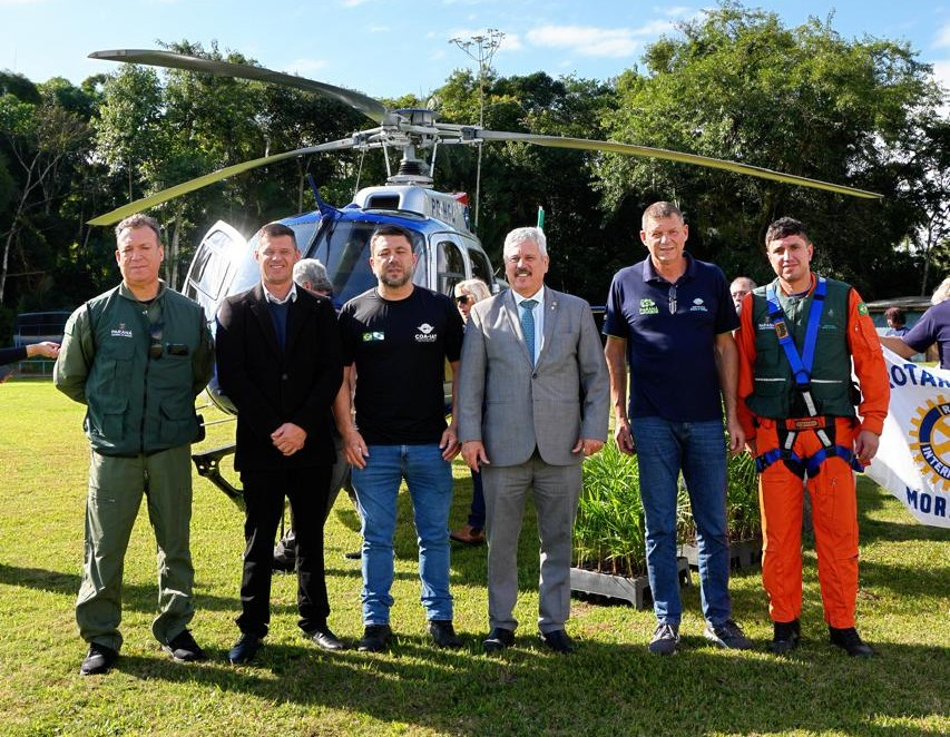 Foto de dispersão de sementes de Palmito no litoral