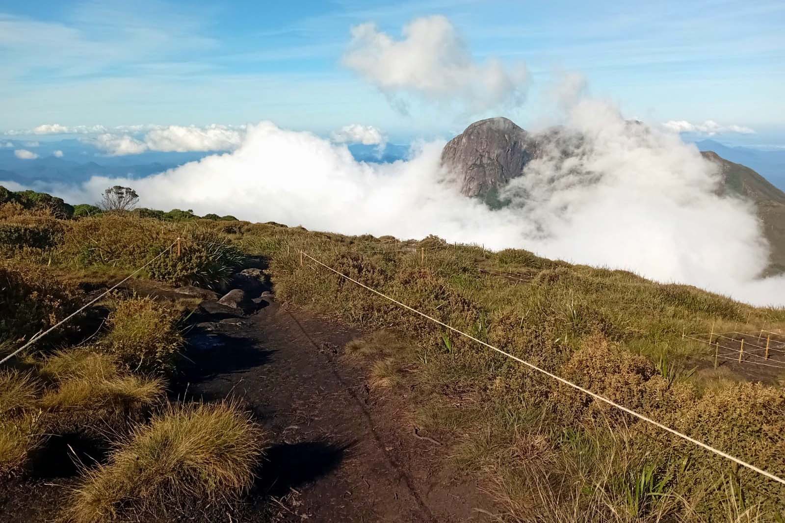 Foto de áreas cercadas do Parque Pico Paraná
