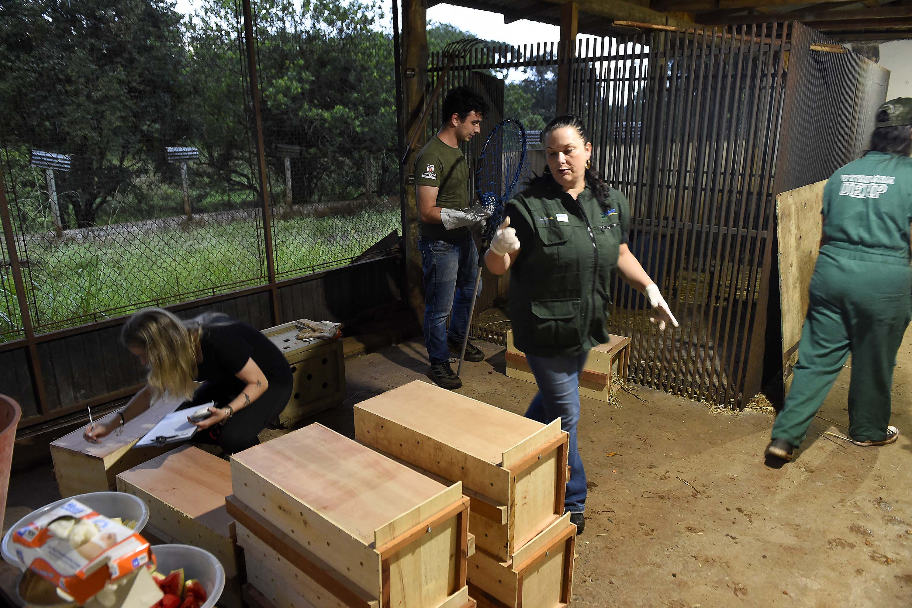 Foto de agentes em resgate de fauna