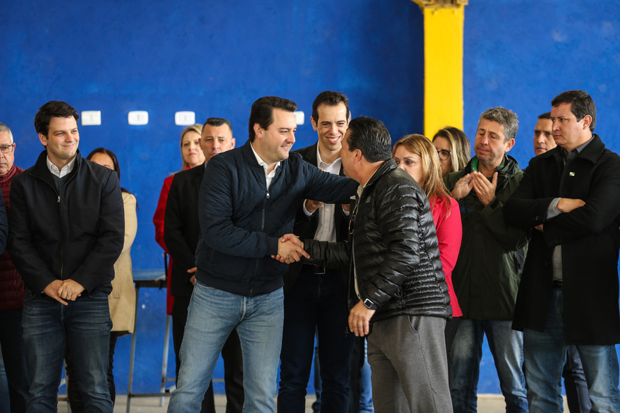 Paraná Mais Verde planta 413 mil árvores nativas