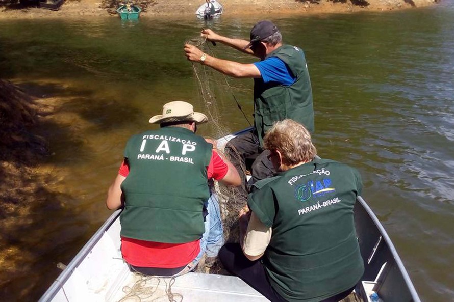 Pesca de espécies nativas fica proibida a partir desta sexta