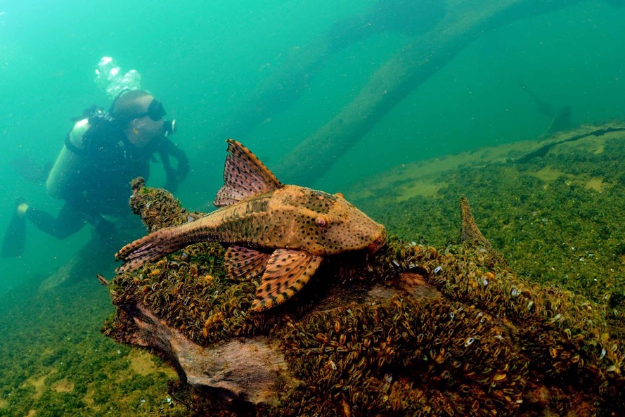 Porto Rico tem praias de água cristalina, esportes náuticos e pesca