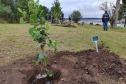 Represa do Iraí recebe mudas nativas e simboliza plantio em todo o Estado 