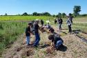 Regionais do IAT plantaram cerca de 18 mil mudas em diferentes localidades do Estado para recuperar matas ciliares