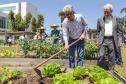 O governador do Paraná, Carlos Massa Ratinho Junior, inaugura o jardim de colmeias de abelhas nativas e a horta orgânica no Palácio Iguaçu.