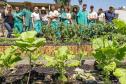 O governador do Paraná, Carlos Massa Ratinho Junior, inaugura o jardim de colmeias de abelhas nativas e a horta orgânica no Palácio Iguaçu.