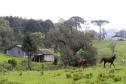 IAT cria guia para ajudar proprietários a adequarem áreas de reserva legal