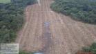 Estado aplica R$ 3,6 milhões em multas por desmatamento de 462 hectares nos Campos Gerais