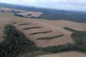 Estado aplica R$ 3,6 milhões em multas por desmatamento de 462 hectares nos Campos Gerais