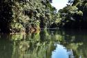 Rio das Cinzas, em Arapoti, no Norte Pioneiro do Paraná
