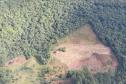 Foto aérea de área desmatada