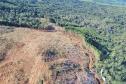 Foto aérea de área desmatada