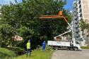 Operários em caminhão replantando grama