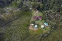 Foto aérea de floresta