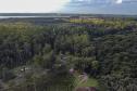 Foto aérea de floresta