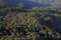 Foto área de floresta