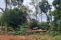 Fiscais do Instituto Água e Terra (IAT) detectaram 245,42 hectares de vegetação nativa retirada ilegalmente e emitiram 167 Autos de Infração Ambiental no Sudoeste do Paraná