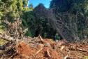 Fiscais do Instituto Água e Terra (IAT) detectaram 245,42 hectares de vegetação nativa retirada ilegalmente e emitiram 167 Autos de Infração Ambiental no Sudoeste do Paraná