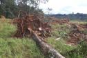 Fiscais do Instituto Água e Terra (IAT) detectaram 245,42 hectares de vegetação nativa retirada ilegalmente e emitiram 167 Autos de Infração Ambiental no Sudoeste do Paraná