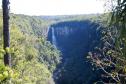 Foto aérea de floresta com cachoeira