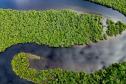 Foto áerea de rio cercado por vegetação