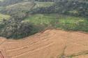 Operação do IAT identifica 17 hectares de desmatamento ilegal na região Oeste