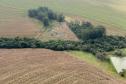 Operação do IAT identifica 17 hectares de desmatamento ilegal na região Oeste