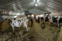 Instituto Água e Terra concedeu a Licença Ambiental de Operação que permite o início da construção de uma nova sede da Frísia Cooperativa Agroindustrial em Ponta Grossa