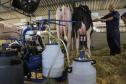 Instituto Água e Terra concedeu a Licença Ambiental de Operação que permite o início da construção de uma nova sede da Frísia Cooperativa Agroindustrial em Ponta Grossa