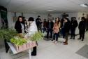 Fila para recepção de mudas