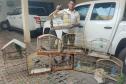 Fotos de pássaros resgatados