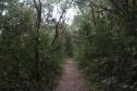 Foto de trilha do Parque Serra da Baitaca